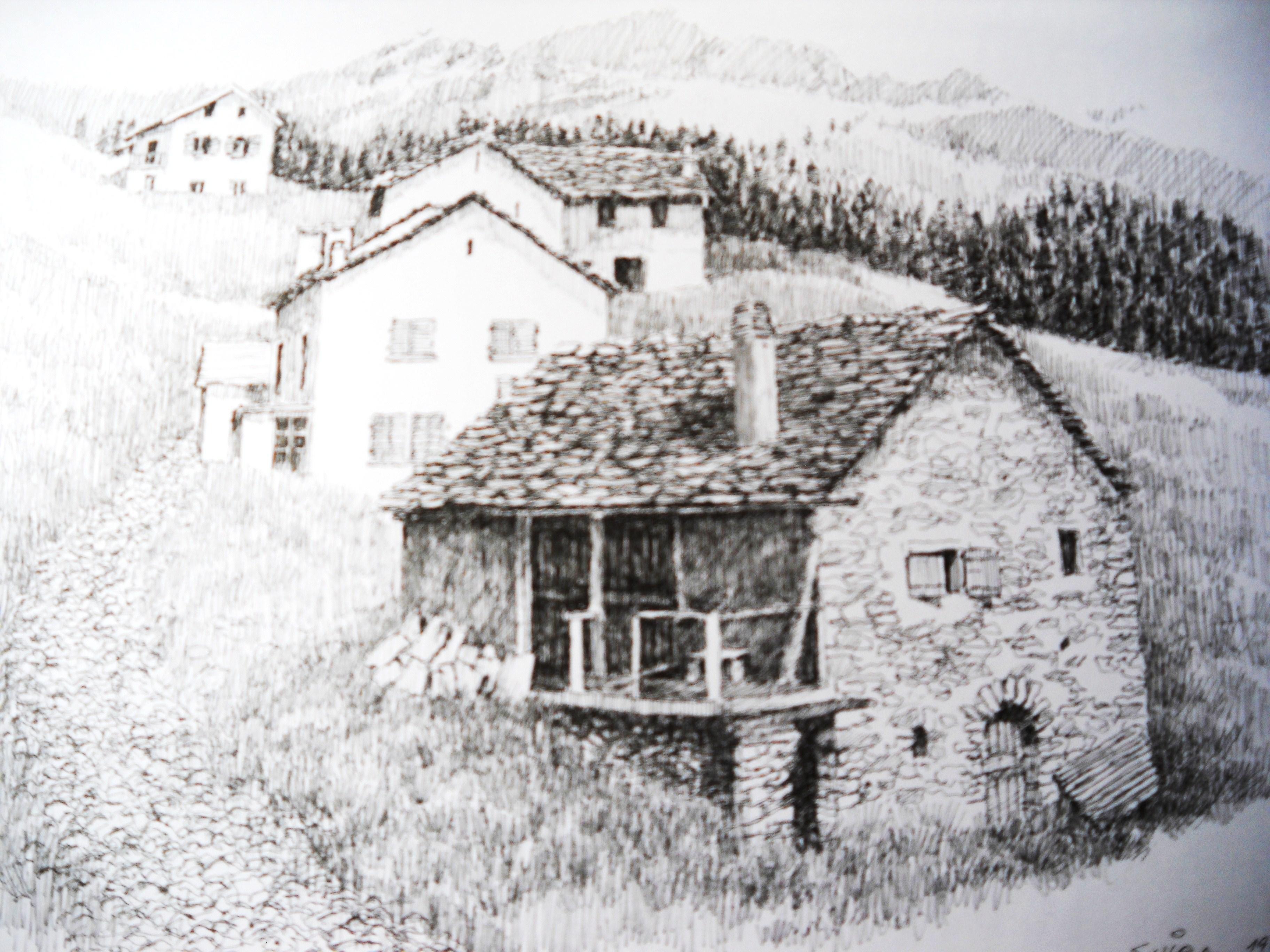 334-  1984-2014. foppa, Leontica v.blenio